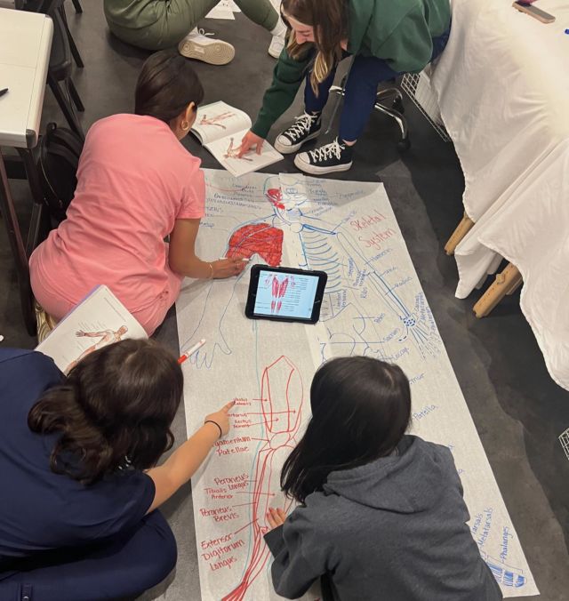 Best way to learn anatomy is by drawing it out with your classmates 🫶
.
.
.
What’s your favorite way to learn?!
.
.
.
#anatomy #creativity #handsonlearning #hair #skin #laser #esti #cos #medspa #hairschool #estischool #laserschool #cosmetology #beauty #arizonamakeupartist #arizonabeauty #arizonabeautyschool #scottsdalehairstylist #scottsdaleesti #penrose #penroseacademy